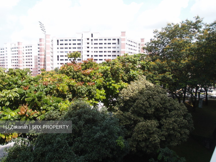 Jurong West Street 61 thumbnail photo